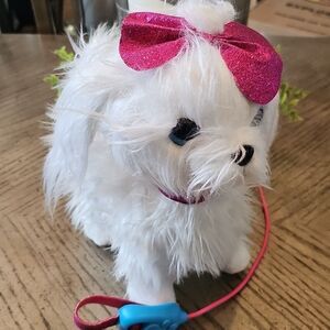 Guru pets walking, barking Maltese dog